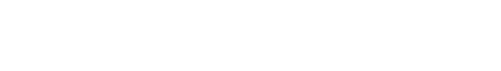 FysioMint